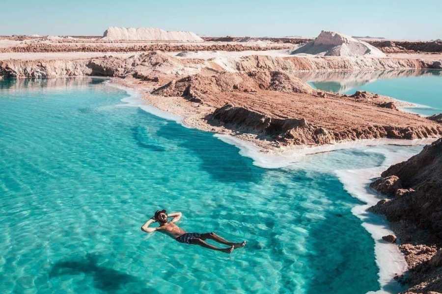 Siwa oasis tour