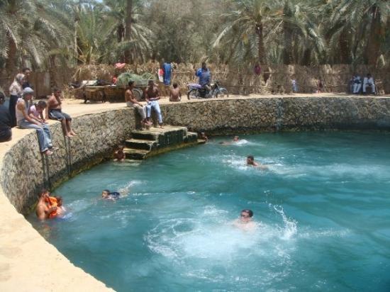Siwa oasis tour