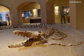 Rayan Valley&Whale Valley&Lake Qarun