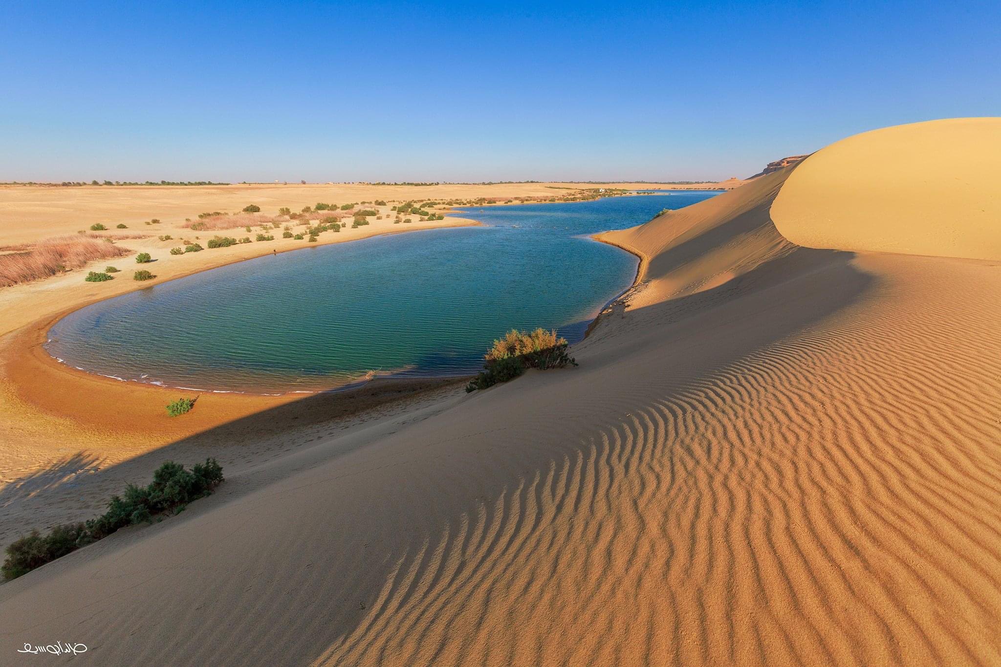 fayoum camping inside the desert