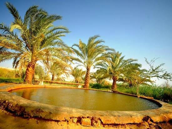 Bahariya Oasis & white desert & black desert& crystal mountain & hot spring